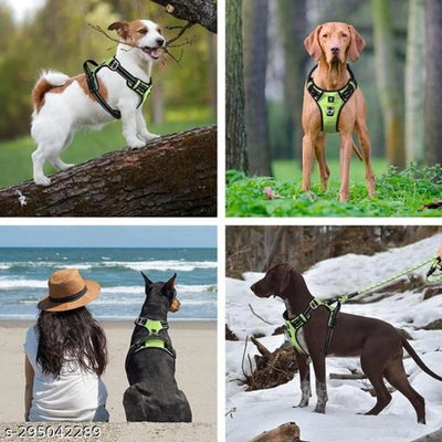 Fabric Dog Harness (Multicolor, XL)