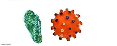 Squeaky Ball Toy for Pet (Multicolor, Pack of 2)