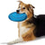 Silicone Flying Saucer for Dog (Multicolor)