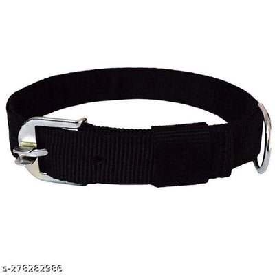 Double Strip Coller Neck Belt for Dog (Multicolor, 0.5 inches)