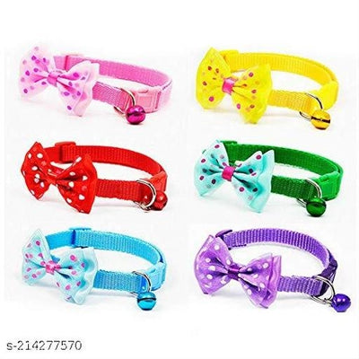 Collar Belt for Cat for (Multicolor, Pack of 4)