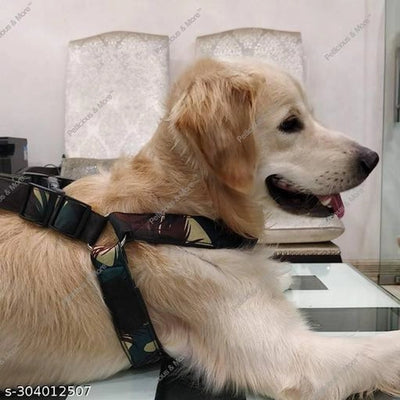 Fabric Dog Harness (Multicolor, XL)