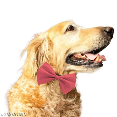 ABS Plastic Bow Coller Belt for Dog (Multicolor)